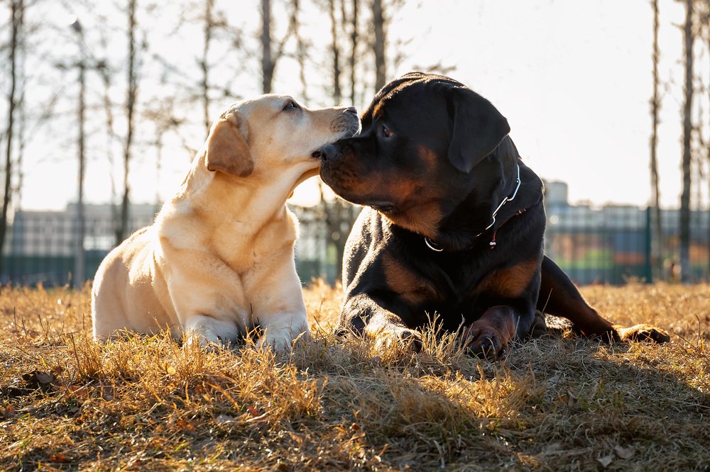Photograph by Ольга Максимова