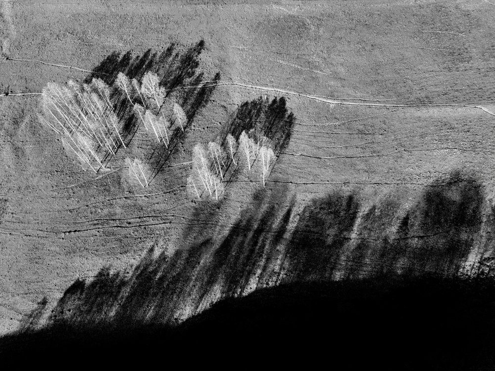 Photograph by Vasile Sarb