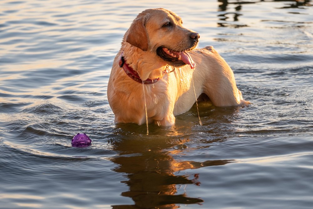 Photograph by Ольга Максимова