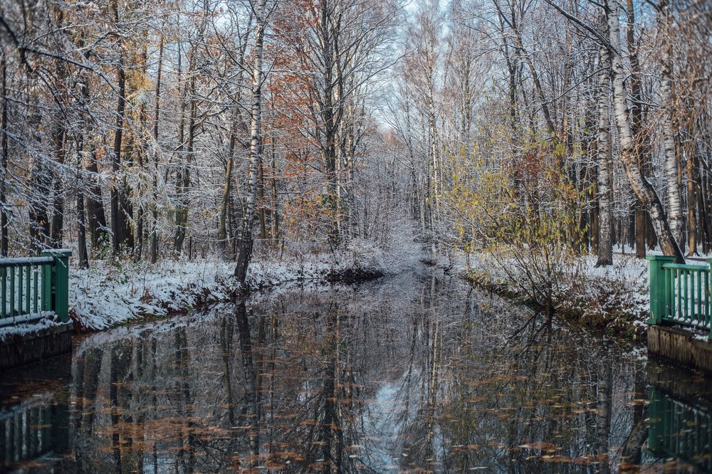 Photograph by Ольга Аристархова
