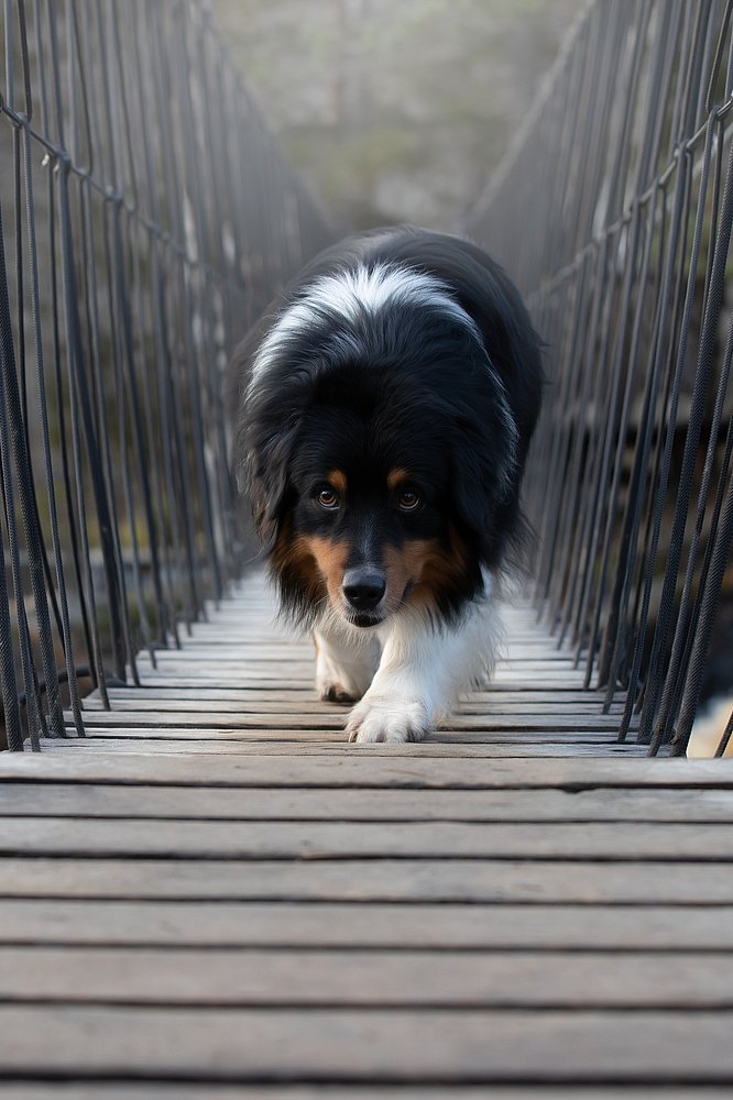 Photograph by Светлана Писарева