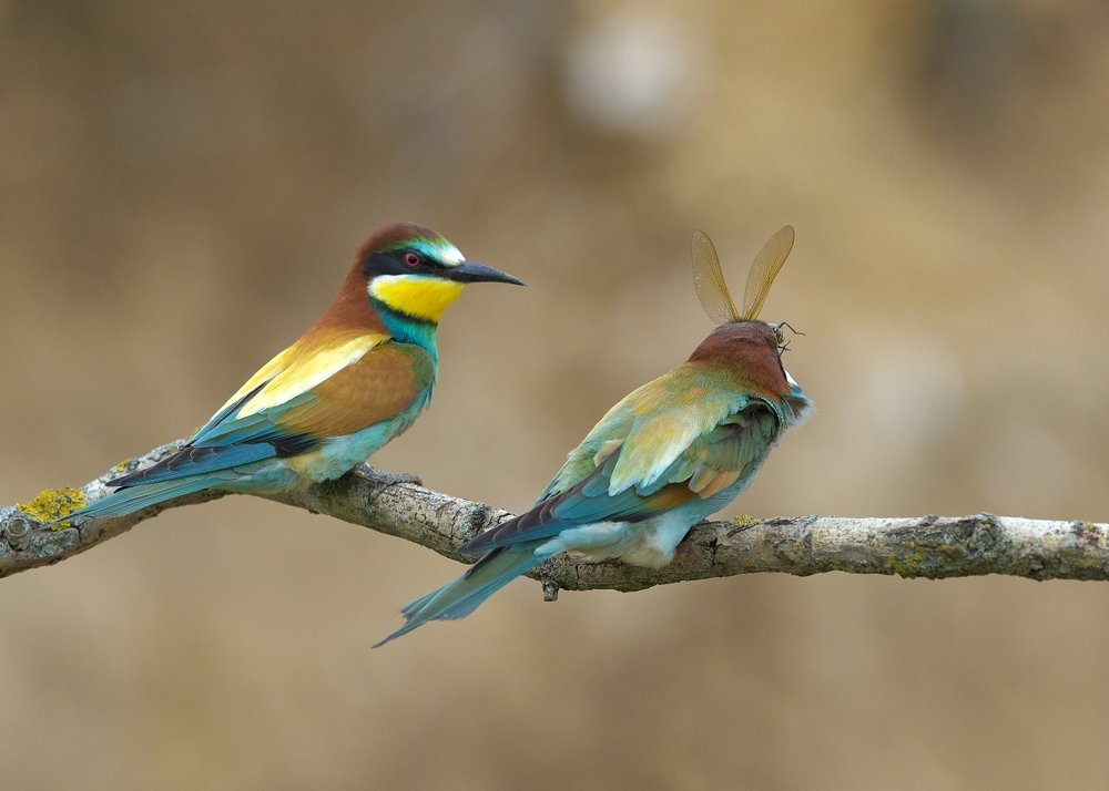 Photograph by Олег Есиков