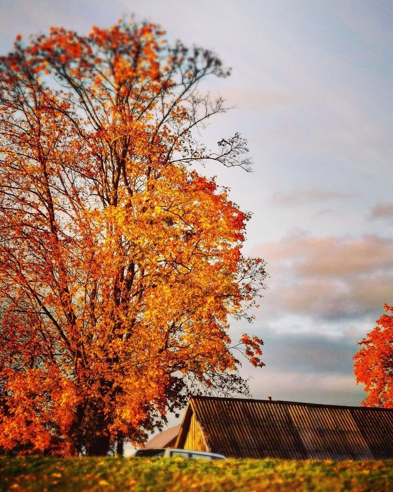 Фотография автора Павел Барский