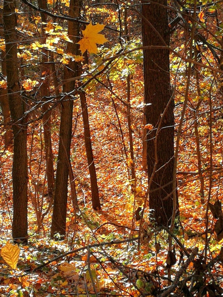 Фотография автора Павел Барский