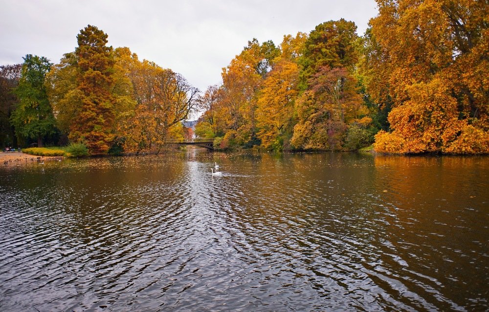 Берег озера