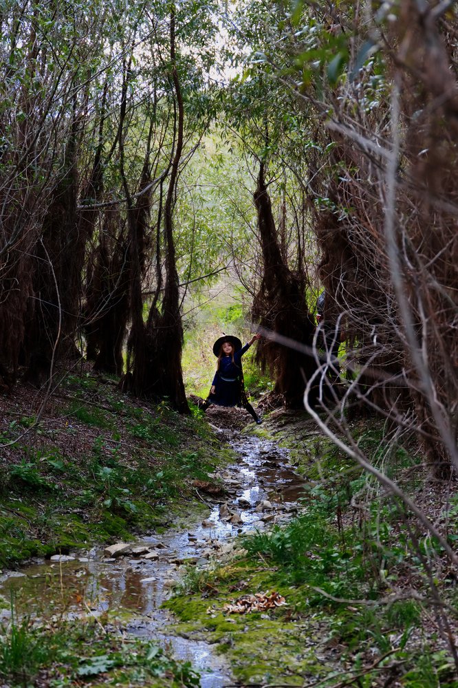 Photograph by Светлана