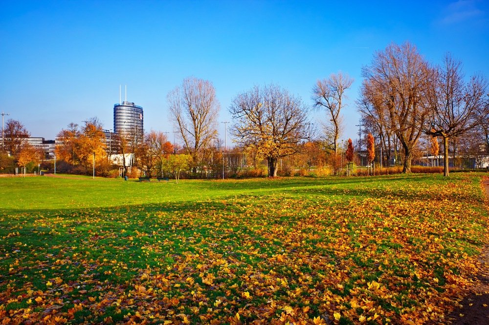 Осенний Дюссельдорф