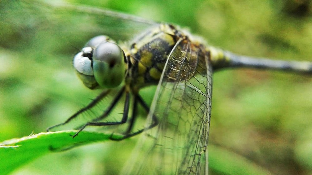 Photograph by Tariq amin Mansuri