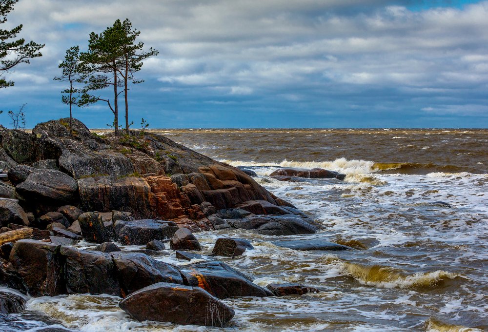 Холодный северный ветер.