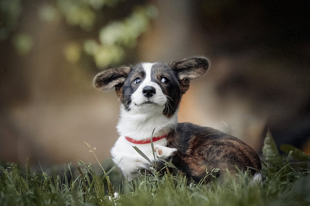 Photograph by Татьяна Тихомирова