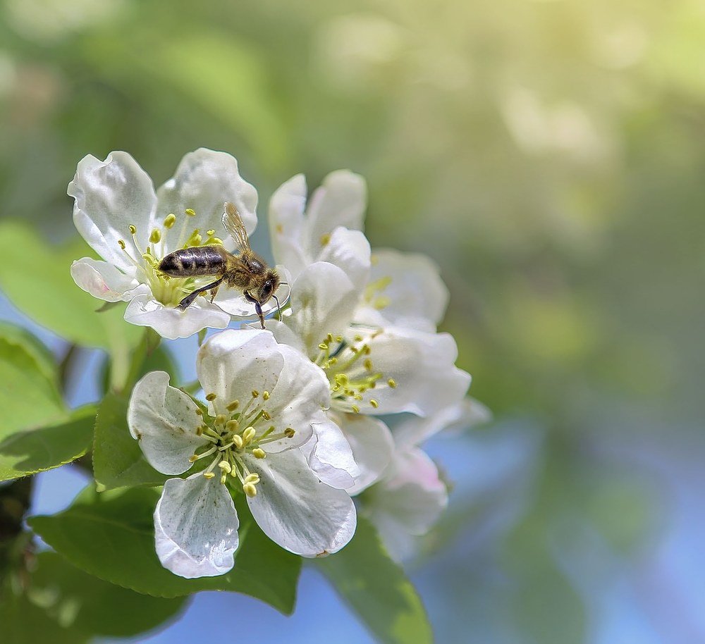 Photograph by Вячеслав Прыгун