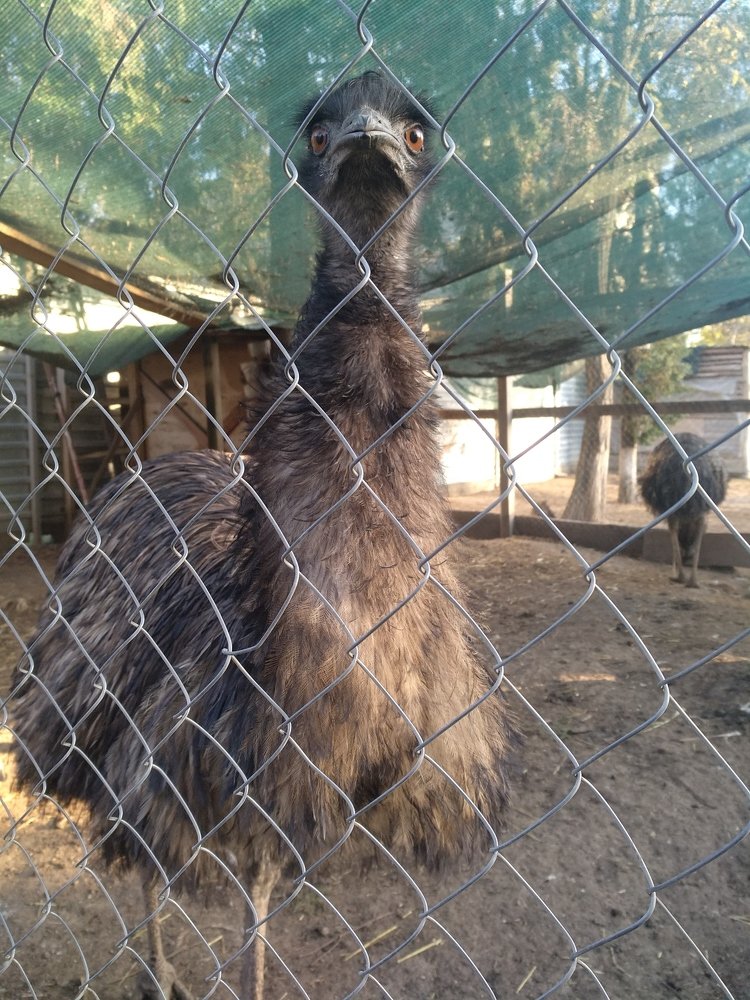 Photo #5279210