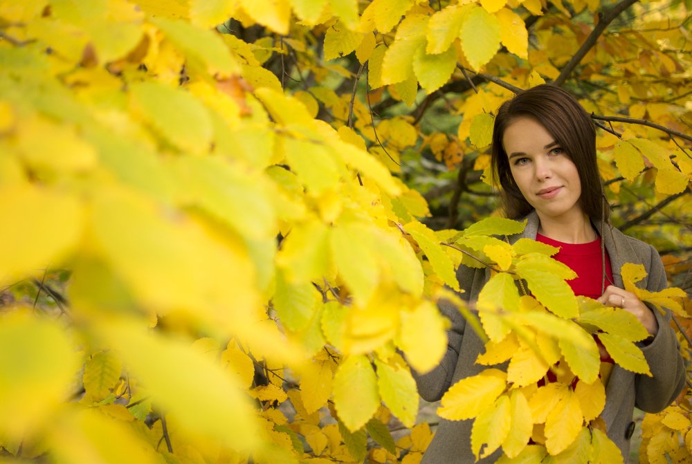 Цвет солнца.