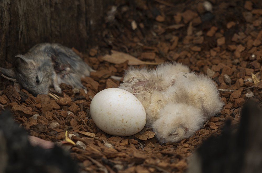 Photograph by Deon Oosthuizen