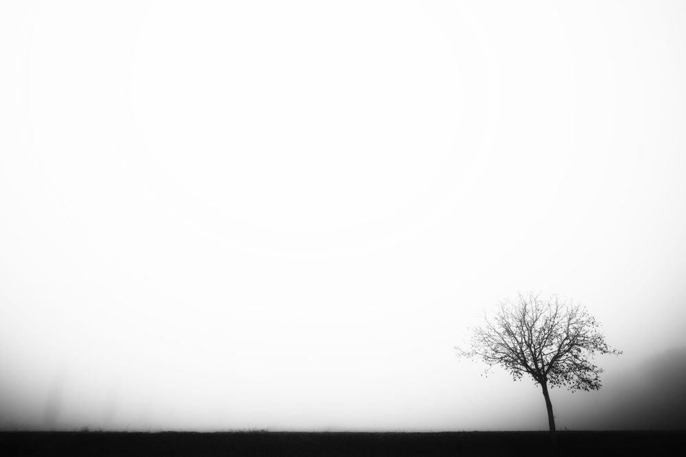 Photograph by Andrea Pagliari