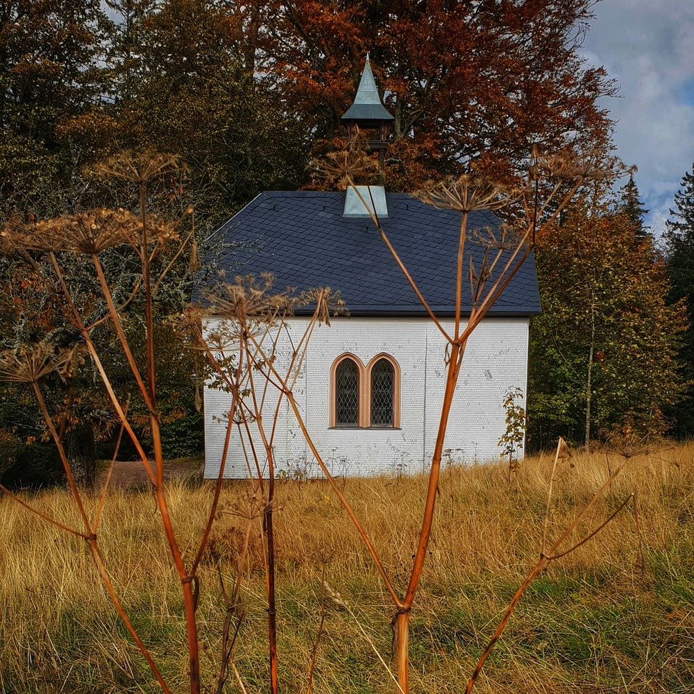 Photograph by Nelli Polle