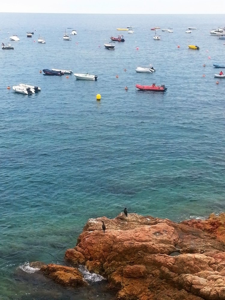 Photograph by Наталия Белозерова