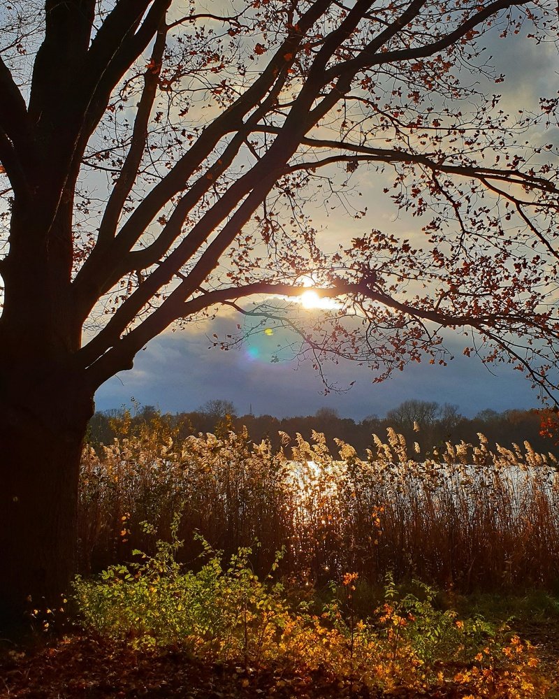 Photograph by Nelli Polle