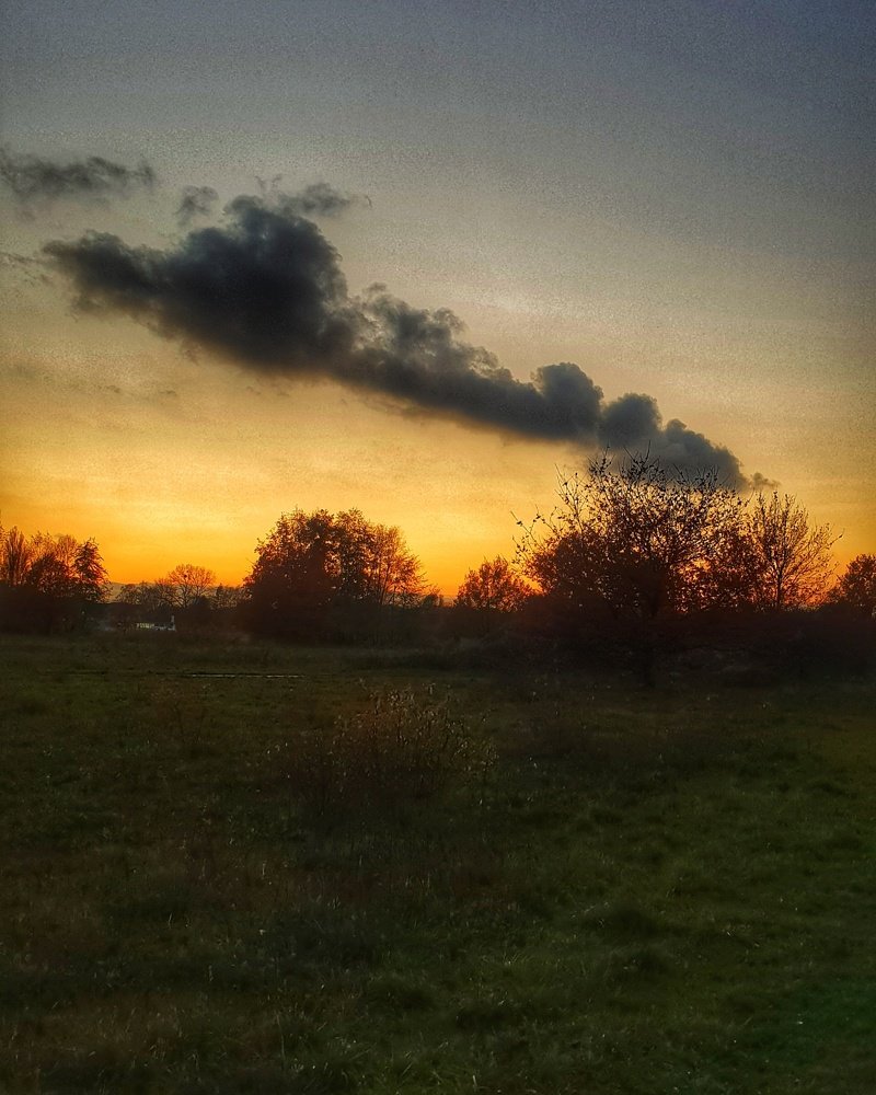 Photograph by Nelli Polle