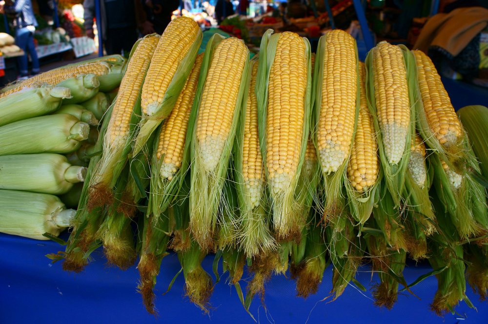 Photograph by Наталия Белозерова