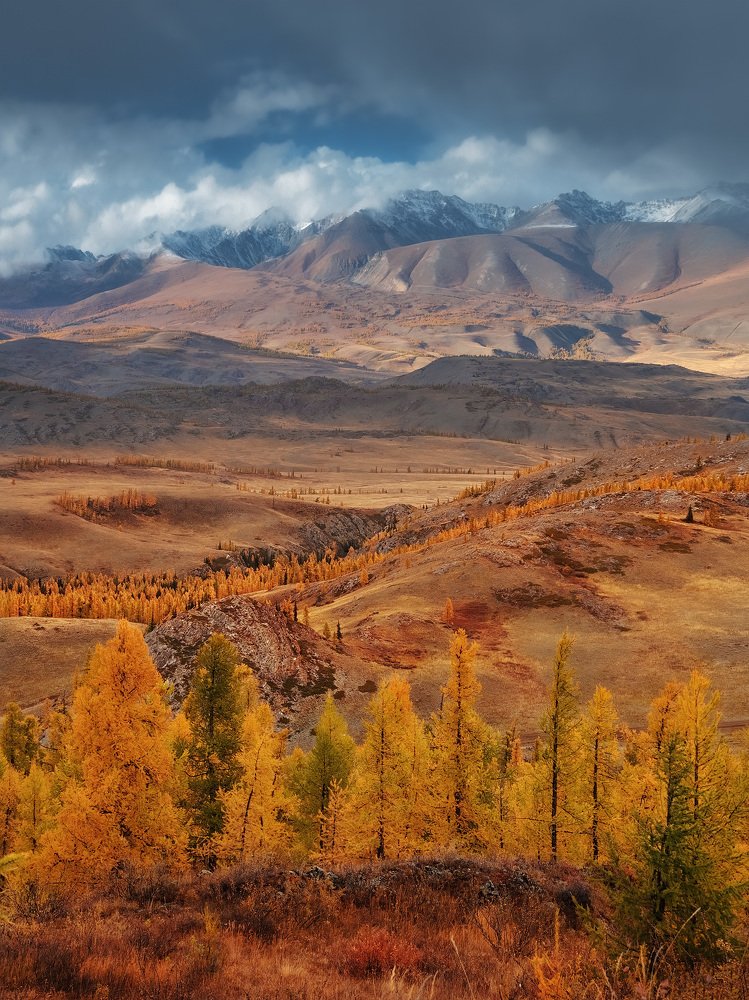 Photograph by Андрей Родионов