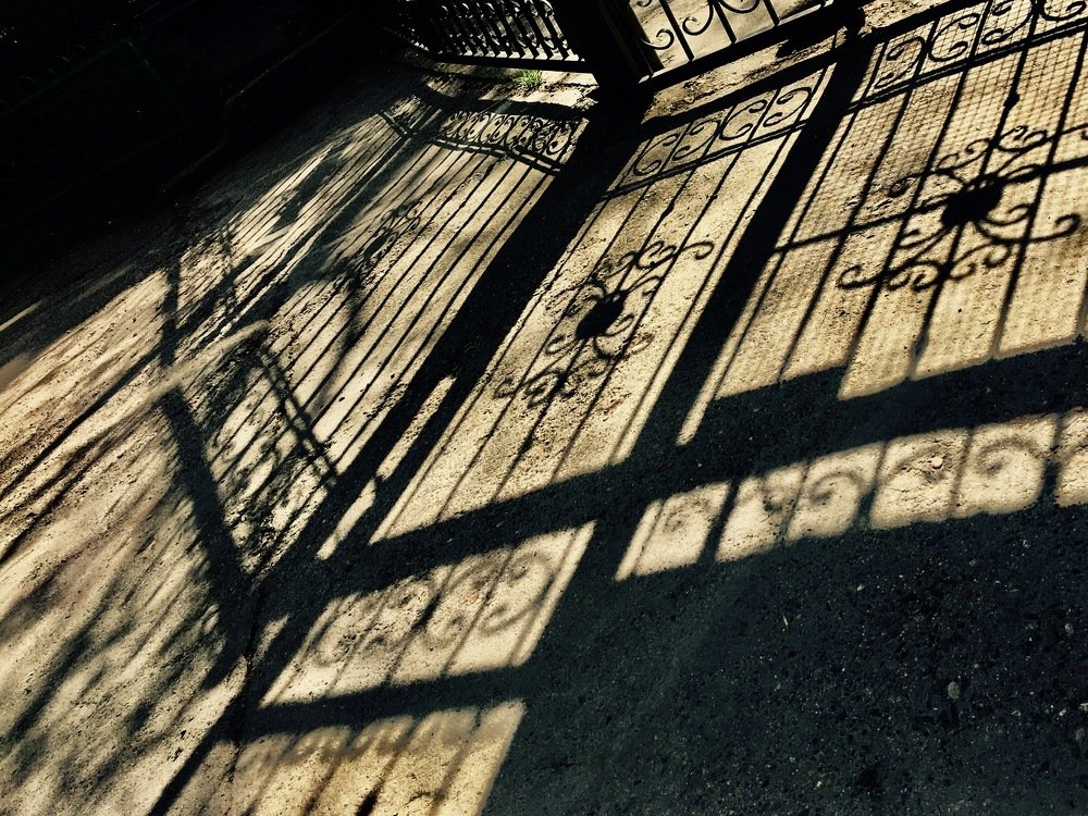 Photograph by Елена Ким