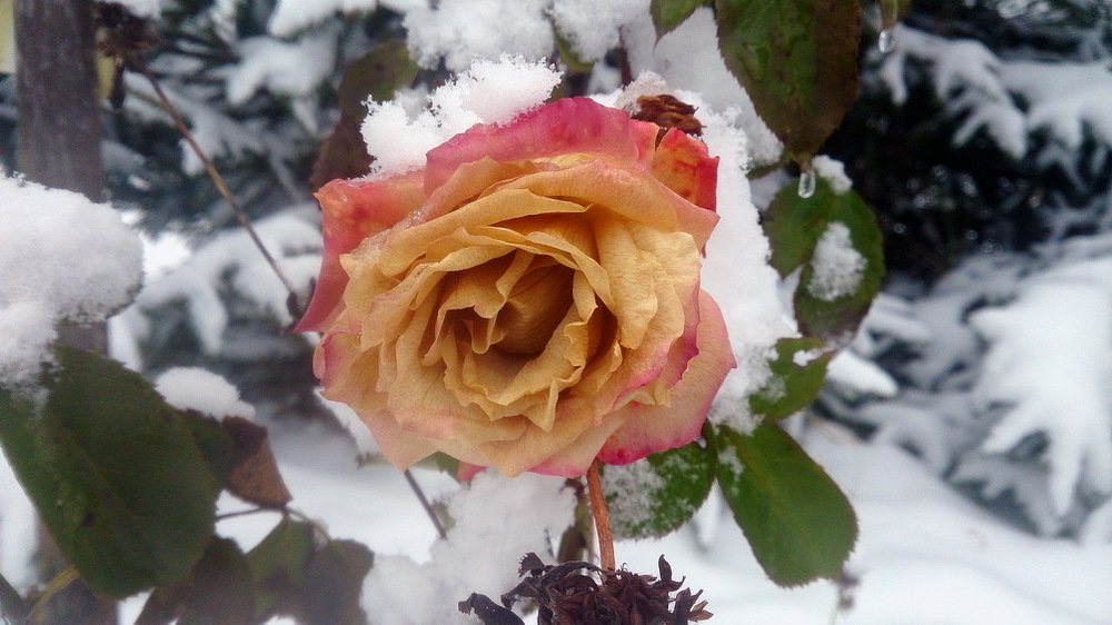 Палитра ноября