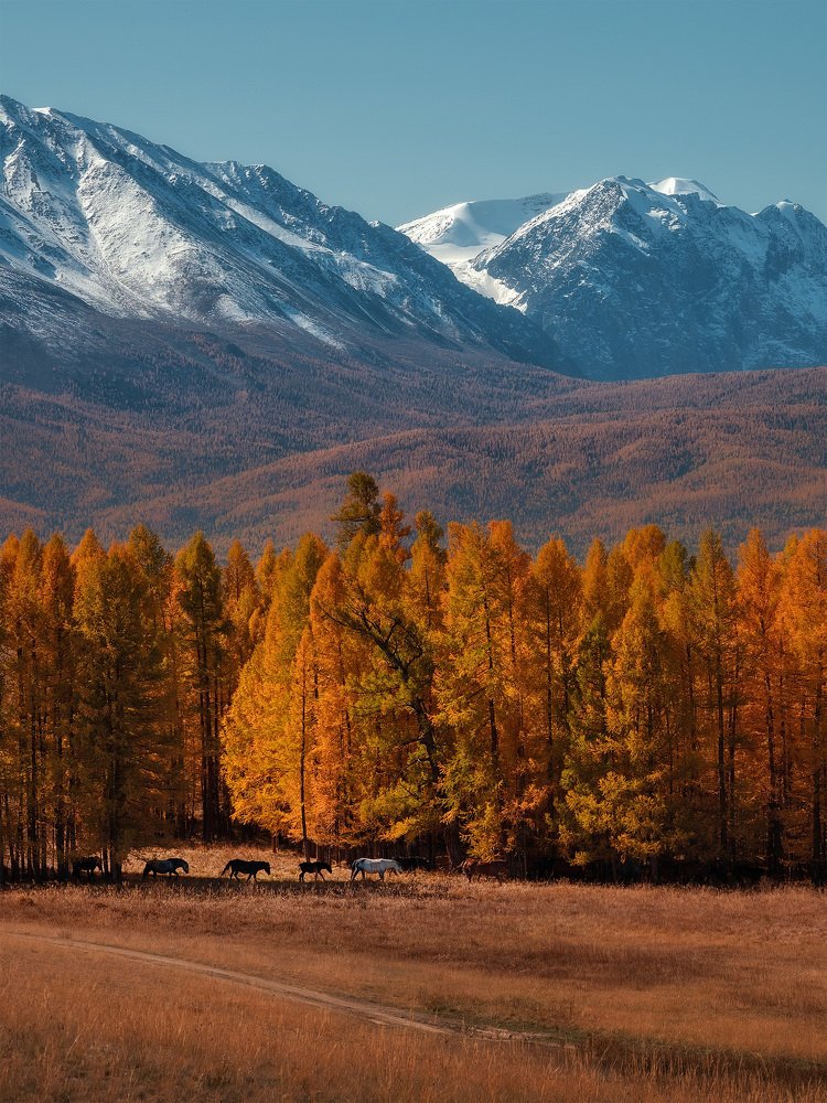Photograph by Андрей Родионов