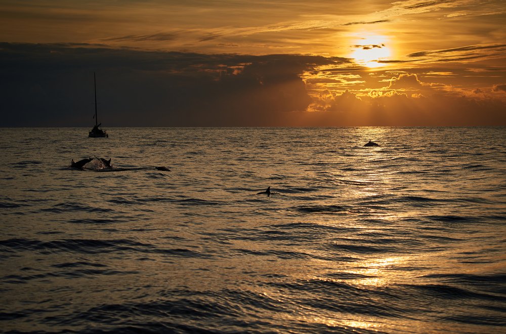 Photograph by Владимир Зубцов