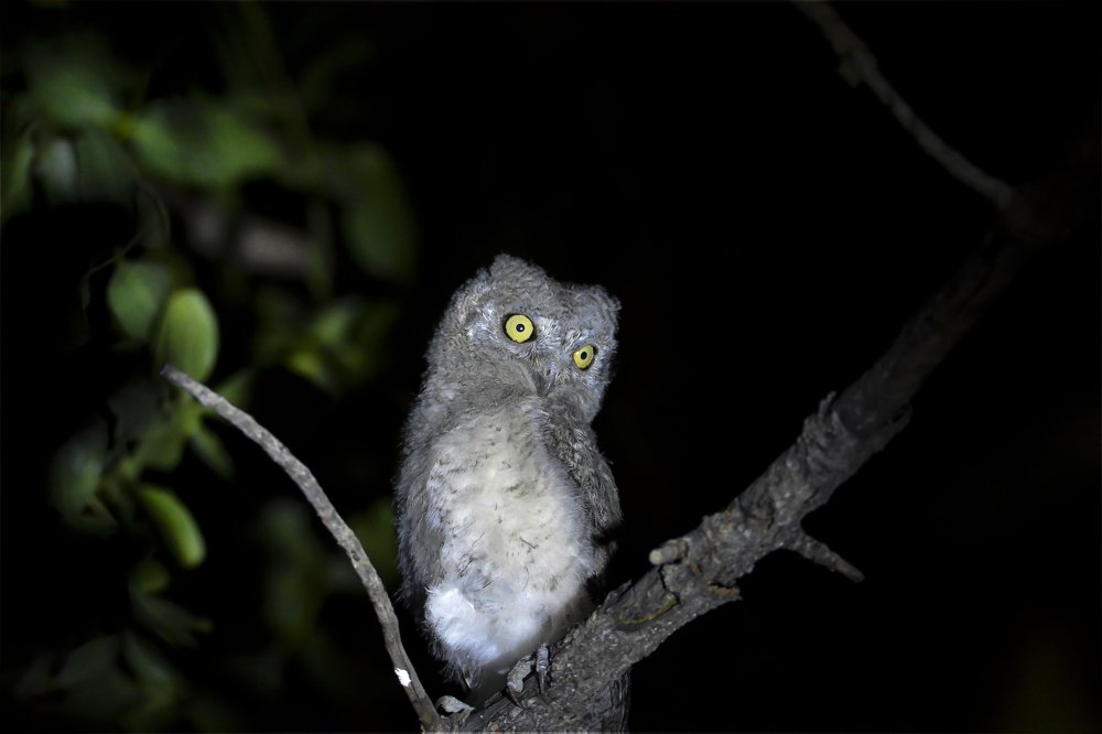 Photograph by seyedmohamad tabrizi