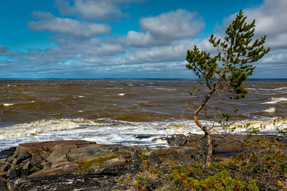 Белое море.