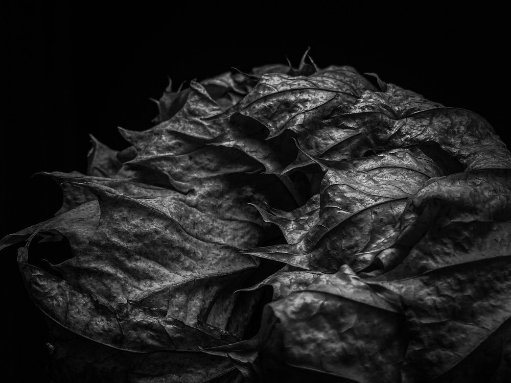 Фотография автора Sergey Sokolovsky