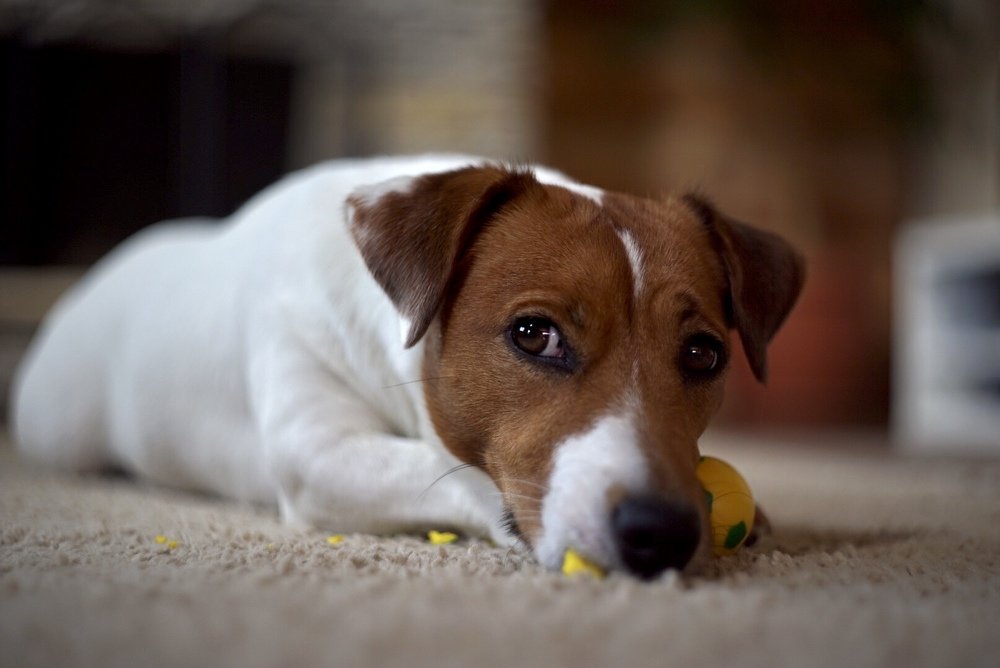 Photograph by Tatiana Mishchenko