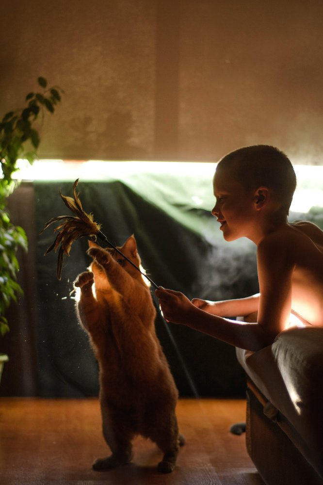 Photograph by Татьяна Мудренова