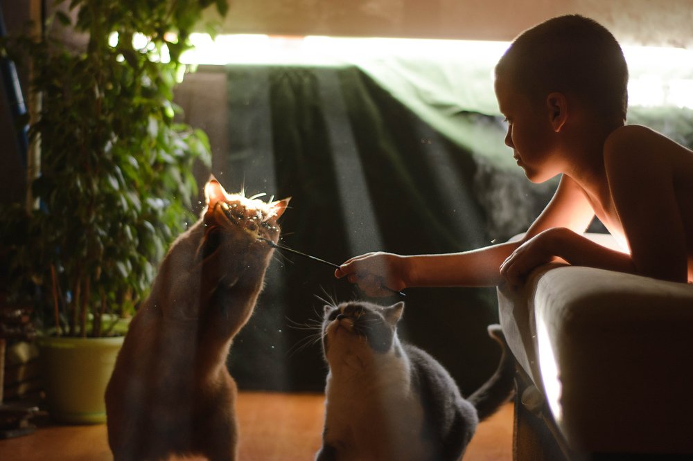 Photograph by Татьяна Мудренова