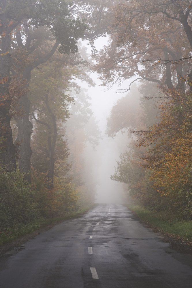 Фотография автора Kiss Aurora Minna