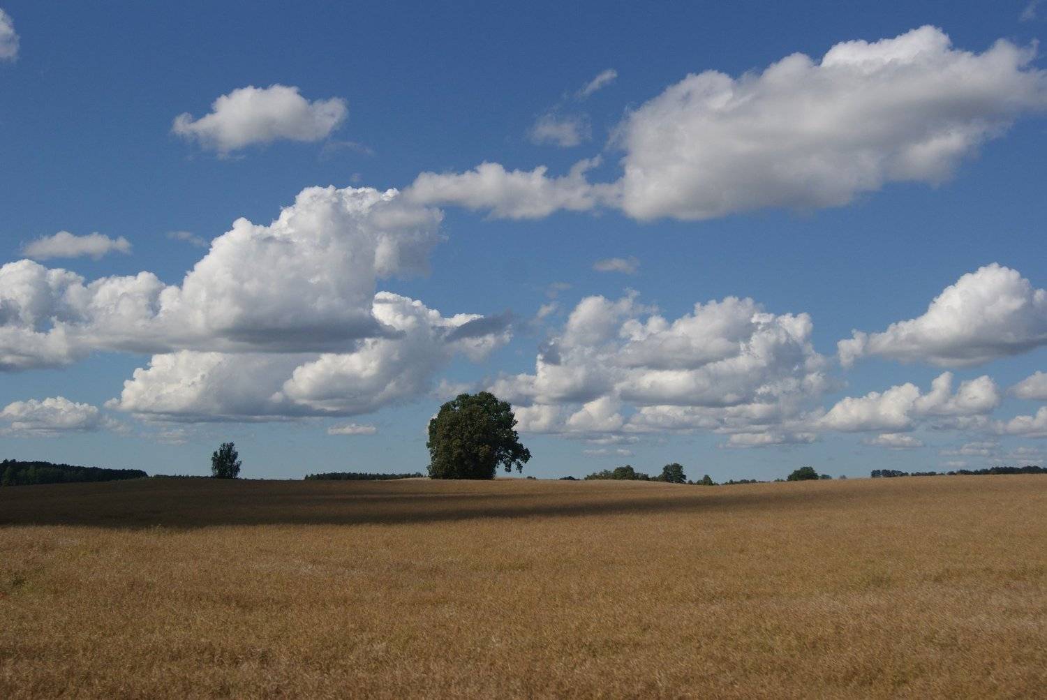 Photo #5279804