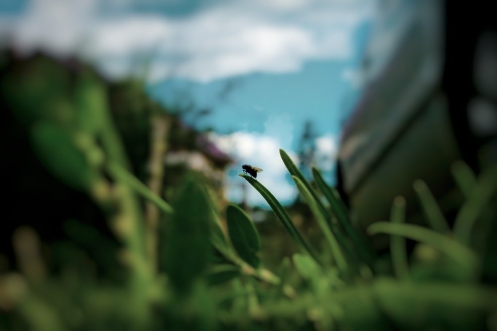 Photograph by Артем Авдеев