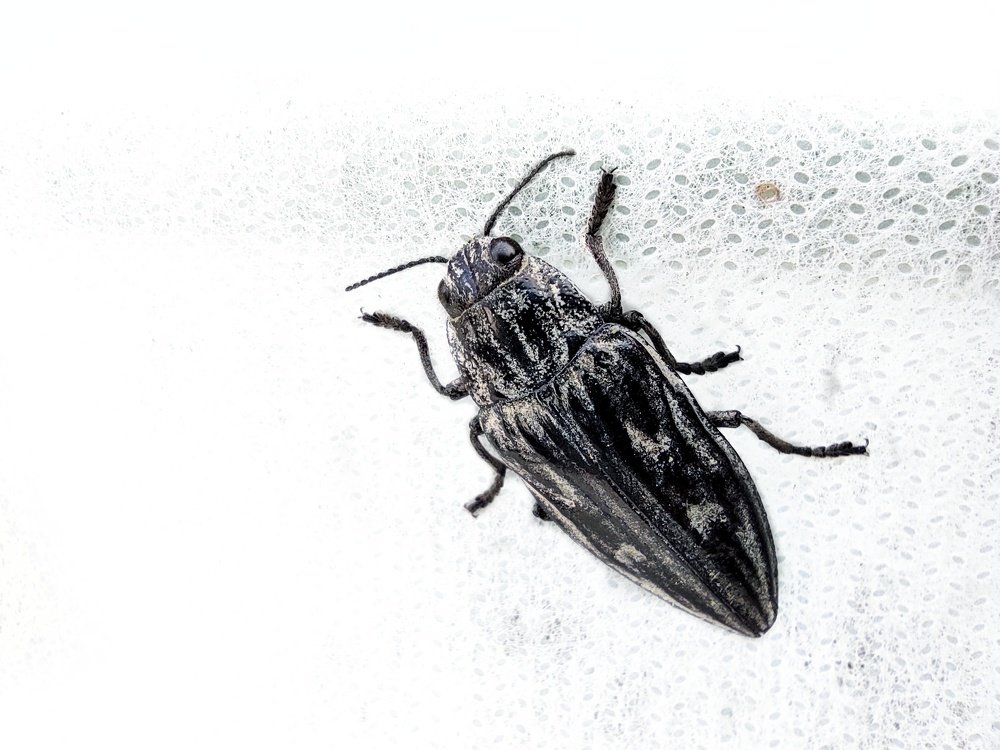 Photograph by Артем Авдеев