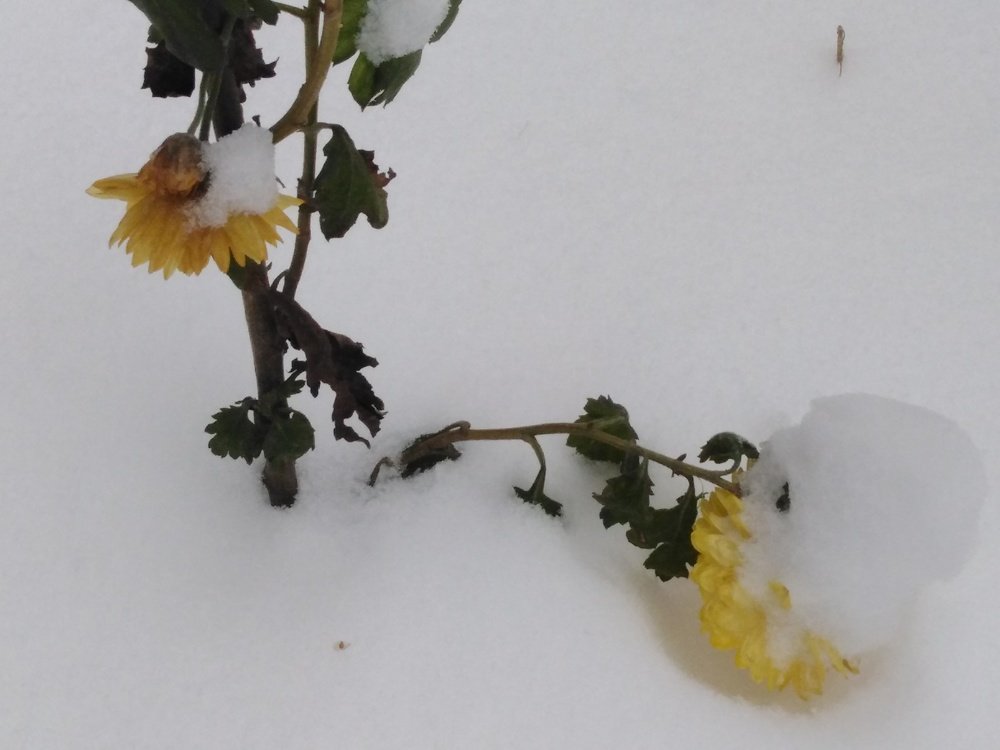 Photograph by Татьяна Ситникова