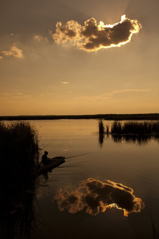 Photograph by dan andrei