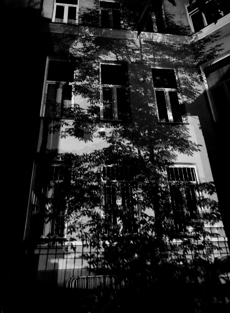 Photograph by Наталия Макарова