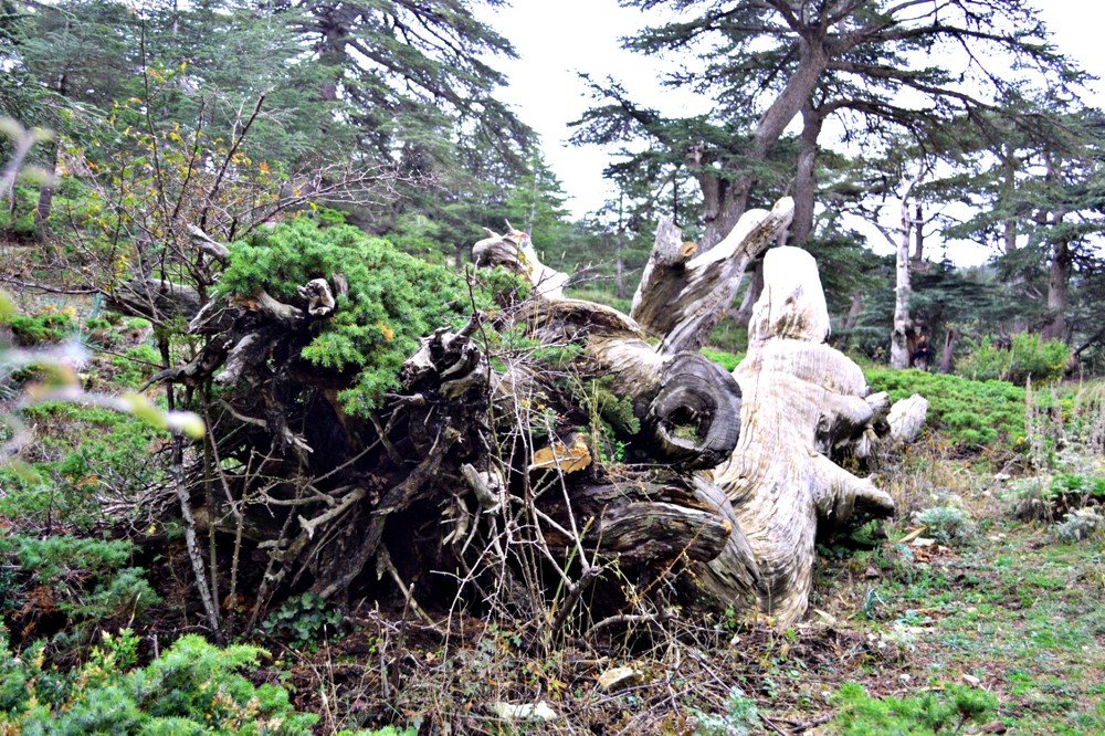 Photograph by Abdelali Otmane