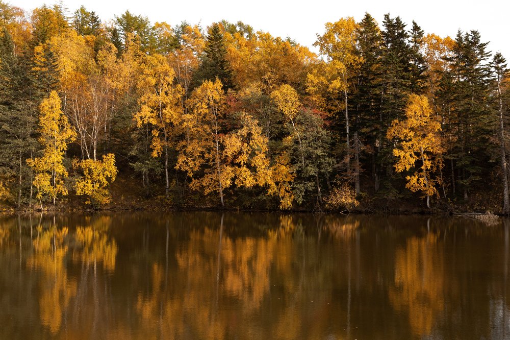 Photograph by Андрей Щербинин