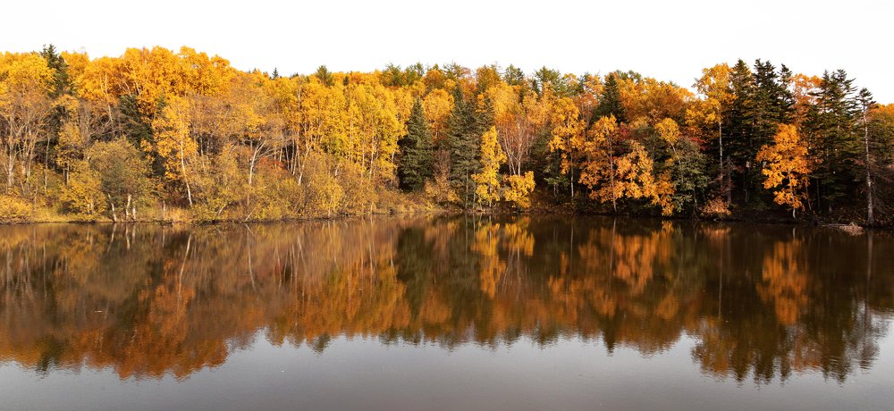 Photograph by Андрей Щербинин