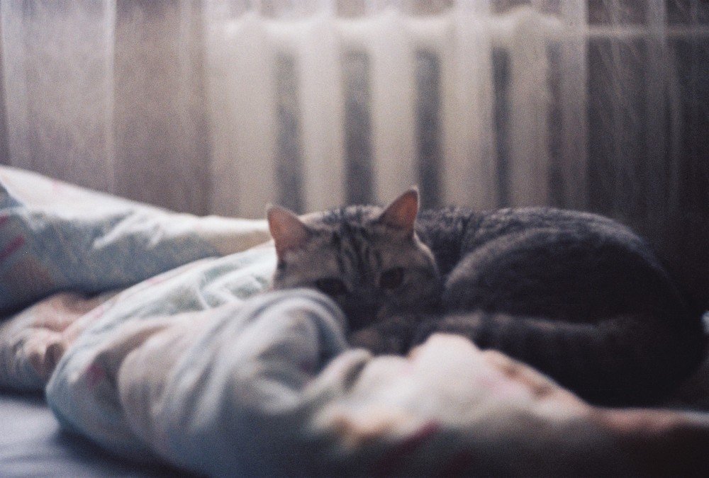 Photograph by Павел Тимохов