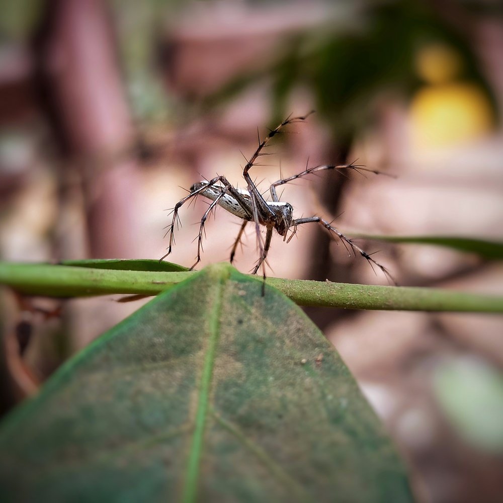 Photograph by Rishabh Solanki