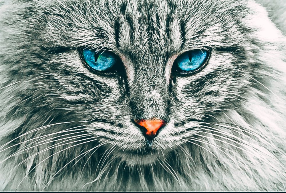 Фотография автора Дмитрий Иванушков