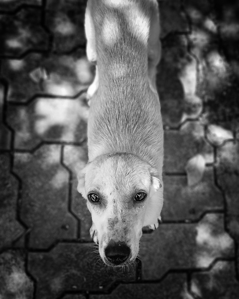 Photograph by Rishabh Solanki