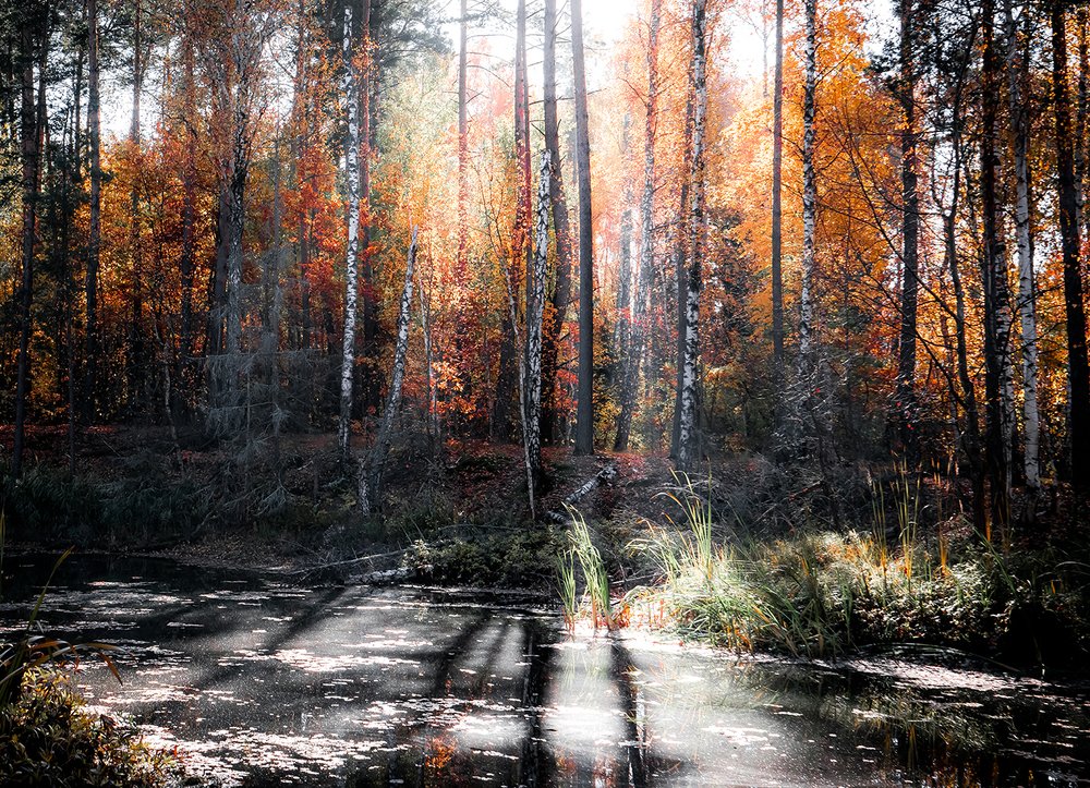 Photograph by Игорь Кляхин